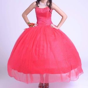 Quinceañera Dress